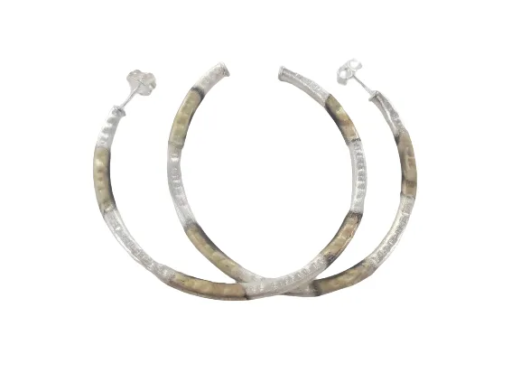 Everybody's Favorite Hoops