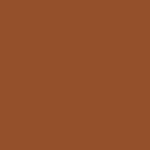 Texas - Short Sleeve Corduroy Pearl Snap - Texas - Burnt Orange